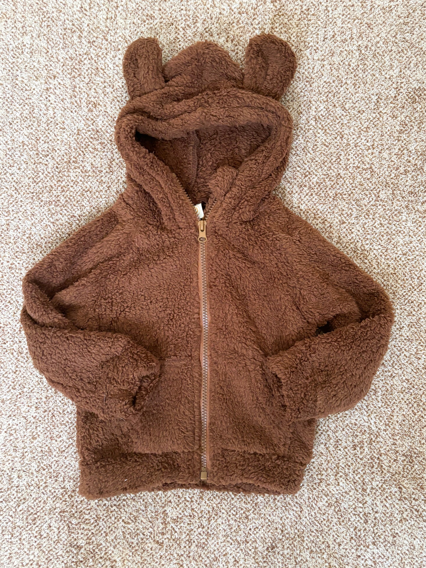 Teddy Bear Hooded Jacket